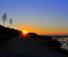 GOOD NİGHT ... ♥  ♥  ♥  