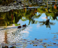 Slinding in the reflection