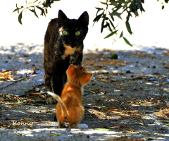 mom... :)