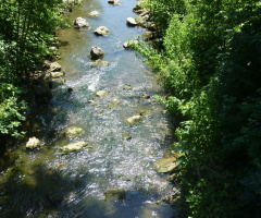 Die stille Enz