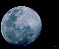 Blue Moon - Brazil