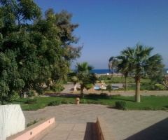 Egypt - Alain Alsokhna