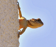 Morning sun bath .. :)) 