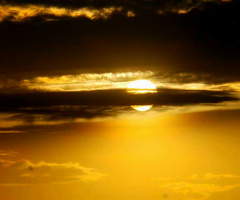 Devine Beauty 