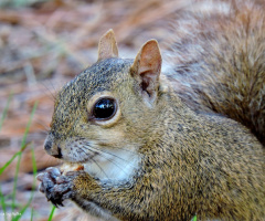 Snack break 