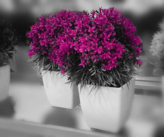 For you only :)