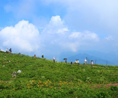 A day at the climbing