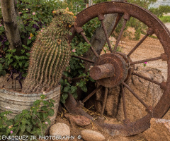  Arizona Mine Pulley For Mine