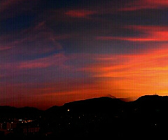 City By Night 