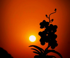 Sunset at my window 