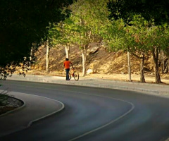 Towards Home III