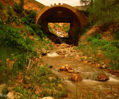 GÜMÜŞHANE 