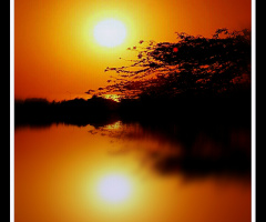 Delightful Sunset 
