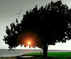 A blissful evening 