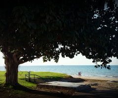Walking through the shore 