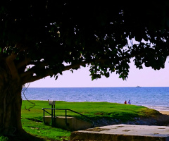 Evening at the shore 