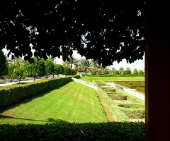 Park @ 1;30 pm 