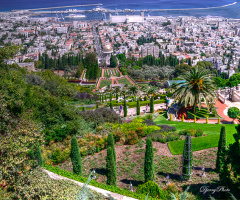 Haifa