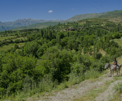 Köyüm