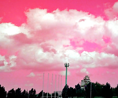 Cotton Candy Clouds 