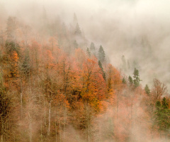 Bolu Dağı'nda Sonbahar