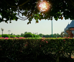 Park 