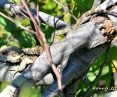 İ can see you ... :)))