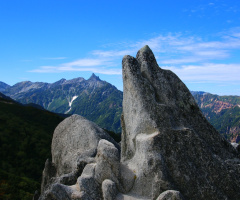 Dolphin in the mountain