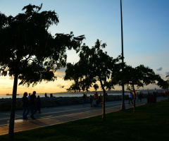 Moda'da Gezinti