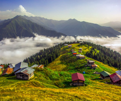 Pokut Yaylası/Ç.Hemşin