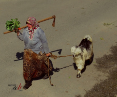 HAYDİ GEL ÇOK İŞİMİZ VAR