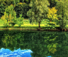 Blue/green reflection