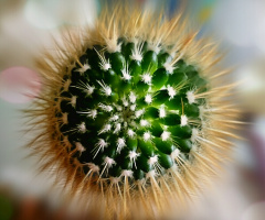 Green Ball