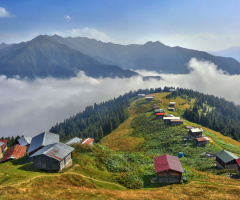 Pokut