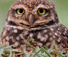 Looking at you!