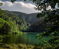 Karagöl/2015