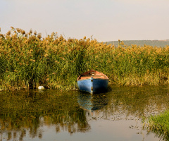 Gölyazı Hatırası 