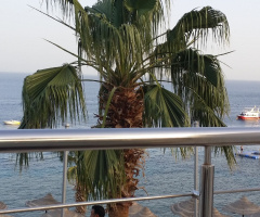 Egypt - Sharm alsheikh 