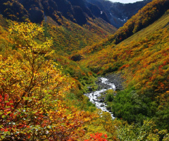 Valley