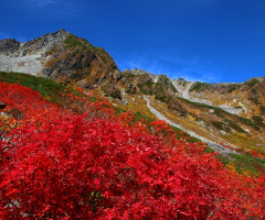 Red!!!!