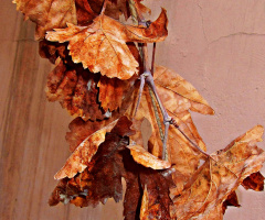 Autumn...Time to rest a while......