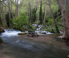 doğadan