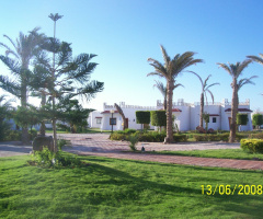 Egypt - Sinai - Ras Sedr