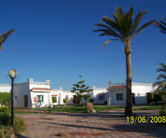 Egypt - Sinai - Ras Sedr