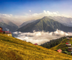 Pokut/Ç.HEMŞİN