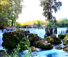 Şelale 