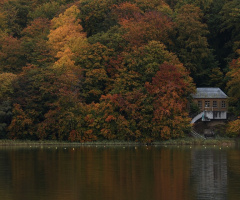 Some of the autumn colors