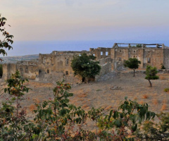  Monastery of Sinai 