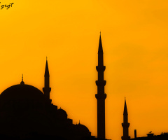 Hiç Bıkmadan Seni Misafir Eden Başka Ev varmıdır