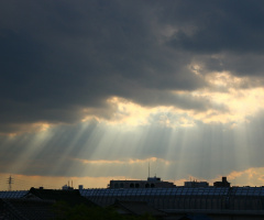 Shine